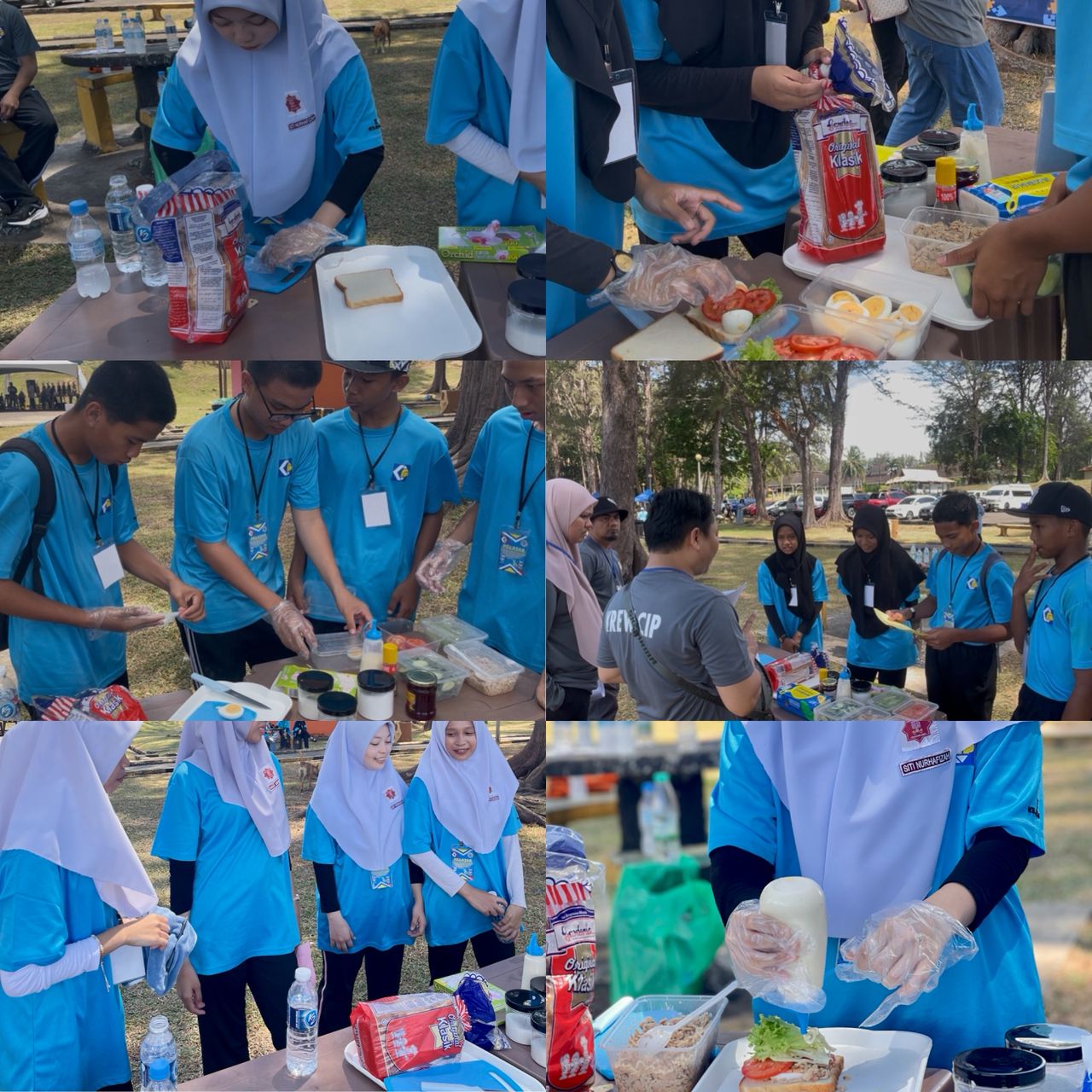 program
